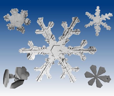 SnowFlakes, Cornflakes