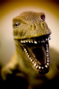 age proof LinkedIn Profile