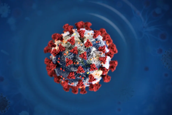 COVID-19 Business Update