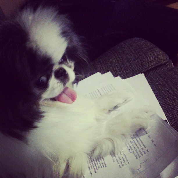 Editing LinkedIn Makeover Book