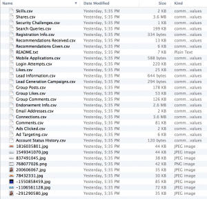 LinkedIn Archive Files