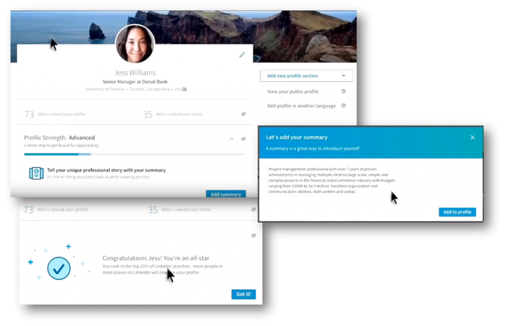 LinkedIn Redesign, The New LinkedIn Profile