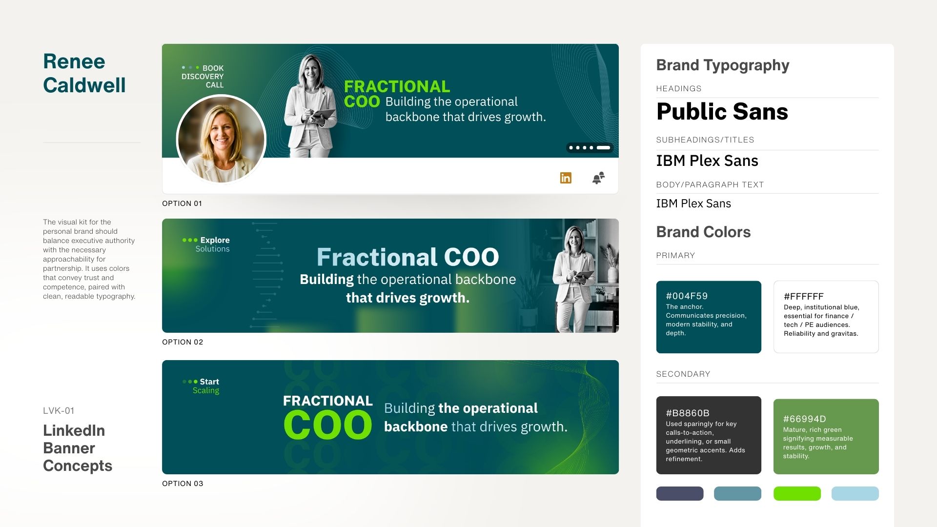 Fractional Executive Background Graphic